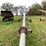 #4497-•-john-deere-auger-image-4
