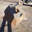 wr-24"-excavator-cleanup-bucket-image-4