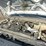 2015-ford-f450-image-15