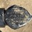 2026-industrias-america-ft510-dump-trailer-image-11