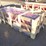 tpm-tm180-71"-3pt-pto-tiller-image-3