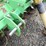 john-deere-673-image-7