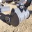bttl-et12m-6-hydraulic-excavator-image-10