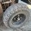 2011-polaris-ranger-ev-image-11