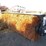 giyi-64"-skid-steer-angle-broom-image-6