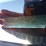 2001-ford-f450-image-18