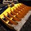 caterpillar-305-image-4