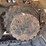 2016-caterpillar-315fl-image-10