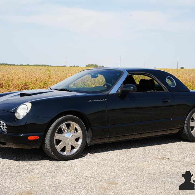 Run #129 - 2002 Ford Thunderbird Convertible