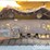 2019-komatsu-d65pxi-18-image-14