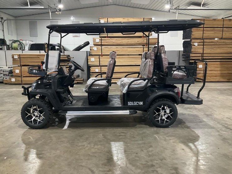 #1301-•-unused-sdlgc100-golf-cart-image-2