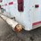 cargo-wells-image-20