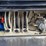 1991-ford-l9000-image-22