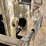 #312-•-hyster-gasoline-forklift-(oconto,-wi)-image-15