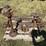 ford-model-t-image-6