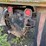 #424-•-vintage-ford-1-1/2-ton-single-axle-dump-truck-(no-title)-(houghton,-mi)-image-29