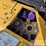 2019-caterpillar-d6-lgp-image-45