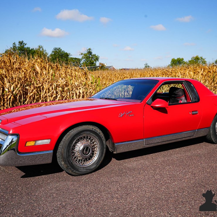 Run #125 - 1986 Pontiac Fiero Quick Silver Zimmer