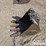 18"-hd-mini-excavator-bucket-image-2