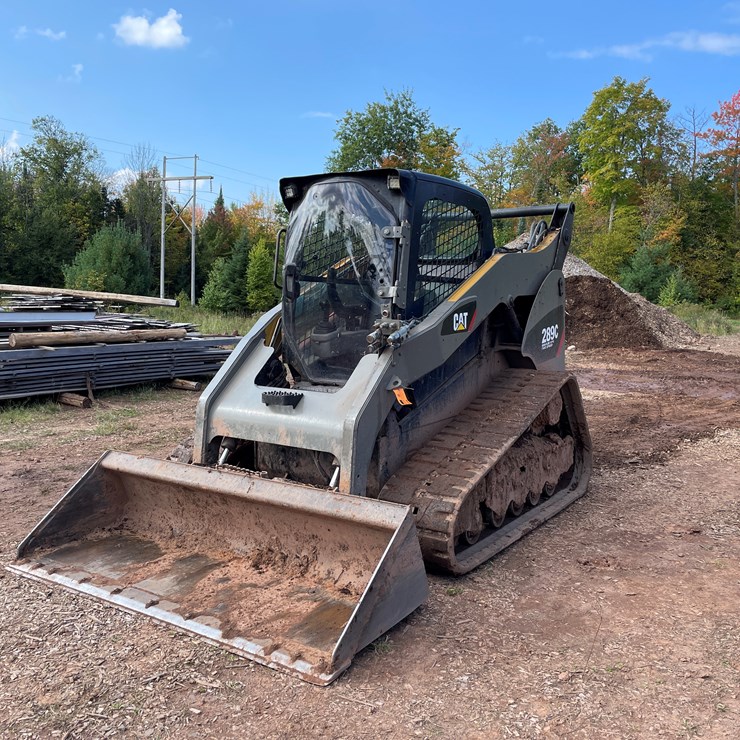 2010 CATERPILLAR 289C
