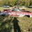 1965-chevrolet-el-camino-image-4