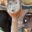 #426-•-vintage-ford-1-1/2-ton-single-axle-dump-truck-(no-title)-(houghton,-mi)-image-57