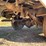 #516-•-1984-chevy-d350-4x4-pickup-(title-in-delay)-(wakefield,-mi)-image-27