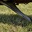 1982-chevrolet-pickup-bumper-image-7
