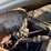 #426-•-vintage-ford-1-1/2-ton-single-axle-dump-truck-(no-title)-(houghton,-mi)-image-41