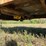 #602-•-2016-dvs/ants-16'-live-bottom-floor/dump-trailer-(has-mi-title)-(chassell,-mi)-image-17