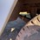 #516-•-1984-chevy-d350-4x4-pickup-(title-in-delay)-(wakefield,-mi)-image-32