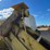 #6903-•-aluminum-can-blower-(reedsville,-wi)-image-9