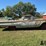 1960-chevrolet-el-camino-collector-car-image-4