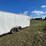 2004-american-hauler-image-3