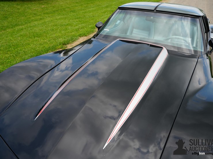 run-#63---1978-chevrolet-corvette-coupe-25th-anniversary-edition-image-10