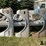 1970-72-chevrolet-front-lh-pickup-fenders-image-2