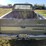 1982-chevrolet-silverado-image-6
