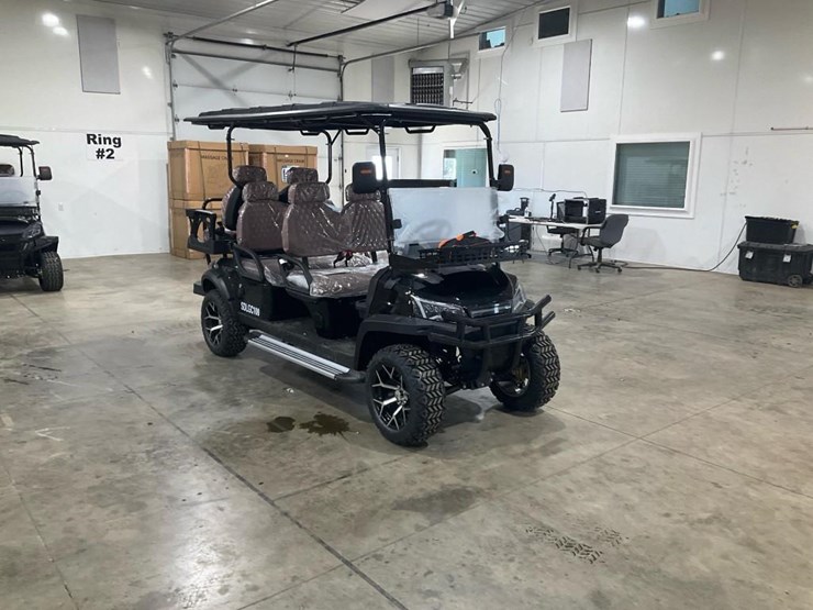 #1304-•-unused-sdlgc100-golf-cart-image-6