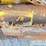 2019-komatsu-d65pxi-18-image-37