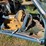 1972-chevrolet-chevelle-image-13