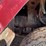 #412-•-1988-white-gmc/autocar-quad-axle-dump-truck-(title-in-delay)-(wakefield,-mi)-image-46