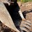 deere-790d-image-11