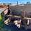 1999-h-&-s-310bp-image-9