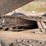 #412-•-1988-white-gmc/autocar-quad-axle-dump-truck-(title-in-delay)-(wakefield,-mi)-image-89