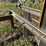 #114-•-logosol-m7-chainsaw-sawmill-(ironwood,-mi)-image-8