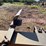 #114-•-logosol-m7-chainsaw-sawmill-(ironwood,-mi)-image-5