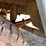 #516-•-1984-chevy-d350-4x4-pickup-(title-in-delay)-(wakefield,-mi)-image-19