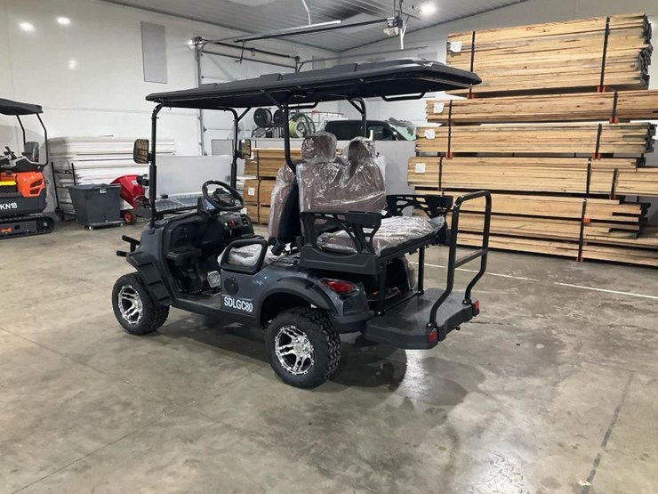 #1316-•-unused-sdlgc80-golf-cart-image-2
