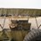 run-#124---1975-jeep-m151a1-image-20