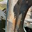 1959-chevrolet-el-camino-front-fender-image-9